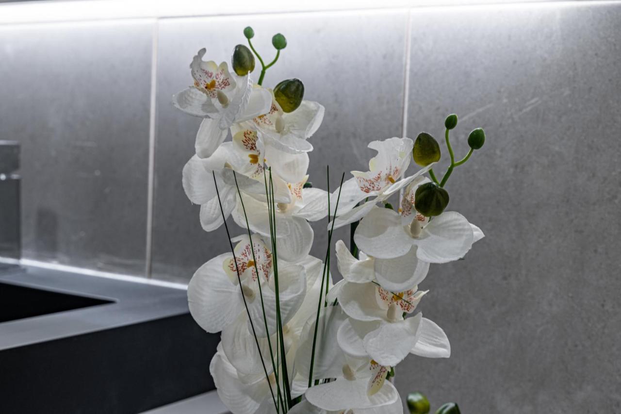 Holiday home Foral Dreams Faja de Cima